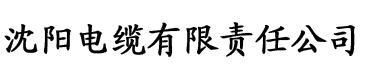 国产午夜伦鲁鲁电缆厂logo